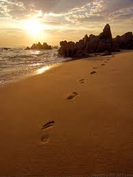 footprints1.jpeg